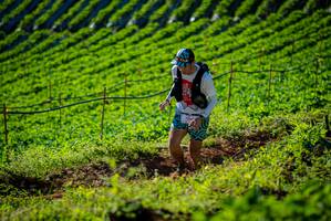 BIB: 7159
                            <button type="button" onclick="openModal(19160527)" class="btn btn-primary btn-sm float-right btn-popup" data-toggle="modal" data-target=".modal-high-quality">
                        <i class="fas fa-shopping-cart"></i> Add to Cart
                    </button>
                                            <button type="button" onclick="isThisMe(19160527, true)" class="btn btn-success btn-sm float-right btn-popup btn-isme hidden" data-toggle="tooltip" data-placement="bottom" title="นี่คือรูปของคุณใช่ไหม คลิกที่นี่เพื่อเอาเข้าอัลบั้ม">
                        <i class="fas fa-plus"></i> Add to album
                    </button>
                    <button type="button" onclick="isThisMe(19160527, false)" class="btn btn-warning btn-sm float-right btn-popup btn-isnotme hidden">
                        <i class="fas fa-ban"></i> Remove from album
                    </button>